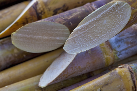 Sugar Cane Pro - Powered by Nature Sugar Cane Brazil
